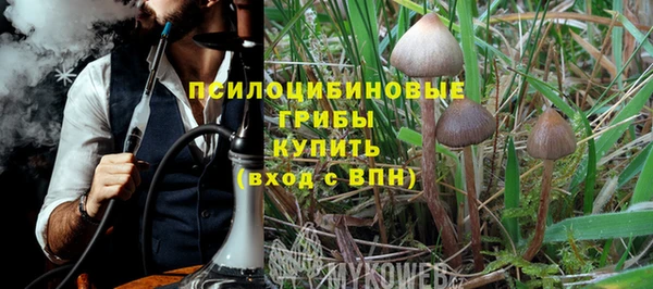 a pvp Мегион