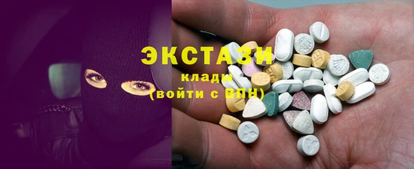 индика Бабаево
