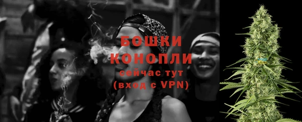 прущие грибы Медвежьегорск