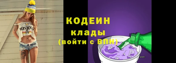 прущие грибы Медвежьегорск