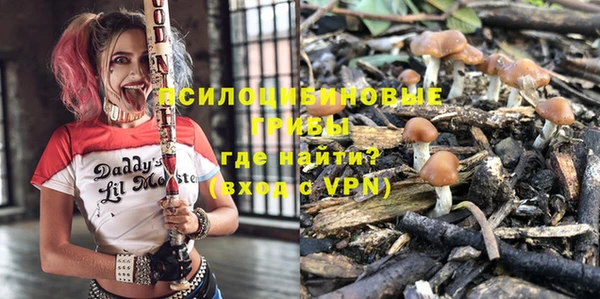 дмт Магадан