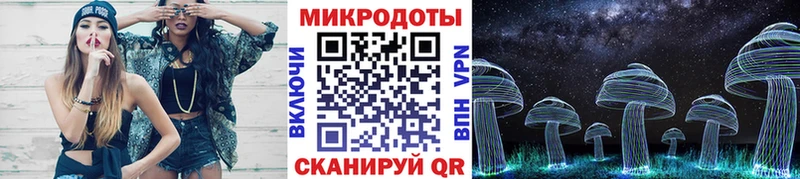 где найти Томилино Псилоцибиновые грибы Psilocybine cubensis