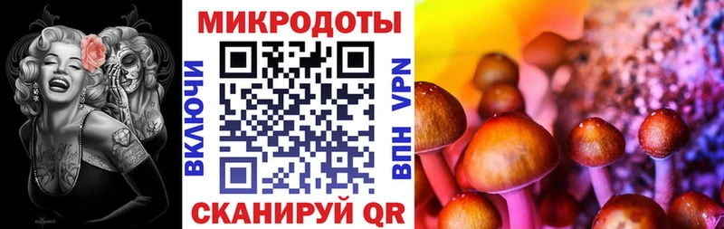 Галлюциногенные грибы Cubensis Томилино
